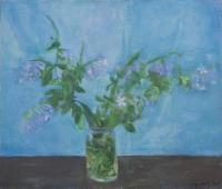Plumbago Auriculata with Blue Cloth
